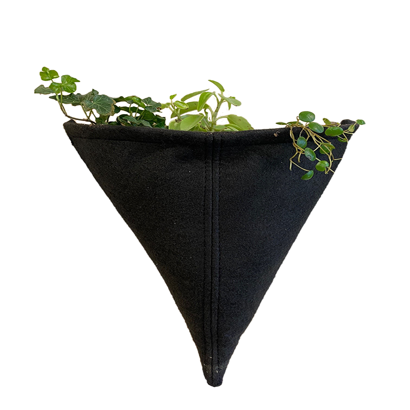 Prototype Living Wall System 10